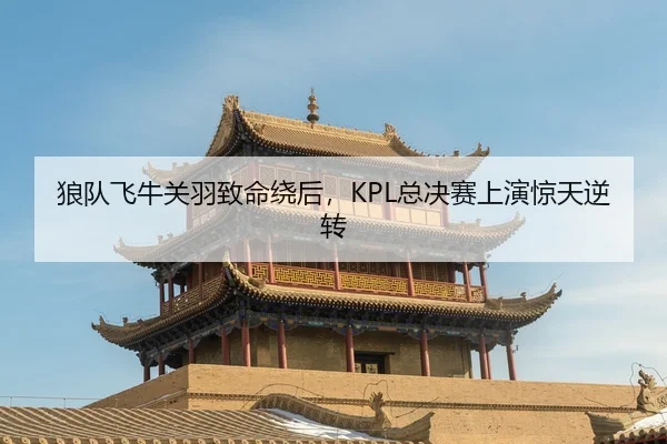 lang-dui-fei-niu-guan-yu-zhi-ming-rao-hou-zong-jue-sai-shang-yan-jing-tian-ni-zhuan-2-633.jpg