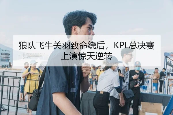 狼队飞牛关羽致命绕后，KPL总决赛上演惊天逆转