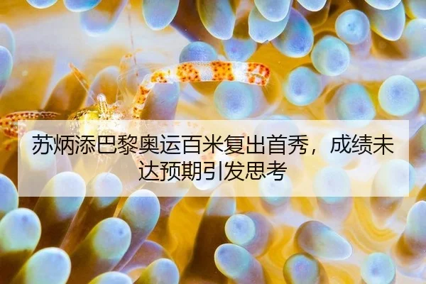 su-bing-tian-ba-li-ao-yun-bai-mi-fu-chu-shou-xiu-cheng-ji-wei-da-yu-qi-yin-fa-si-kao-2-596.jpg