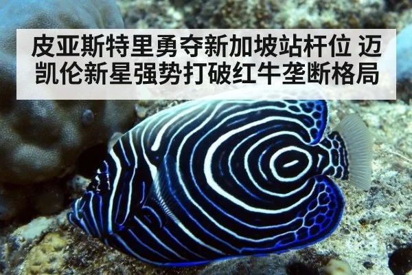皮亚斯特里勇夺新加坡站杆位 迈凯伦新星强势打破红牛垄断格局