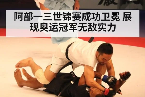 阿部一三世锦赛成功卫冕 展现奥运冠军无敌实力